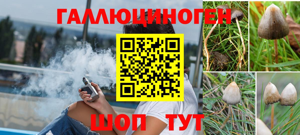 Псилоцибиновые грибы Magic Shrooms  Псилоцибиновые грибы прущие грибы  Вход с VPN  Людиново 